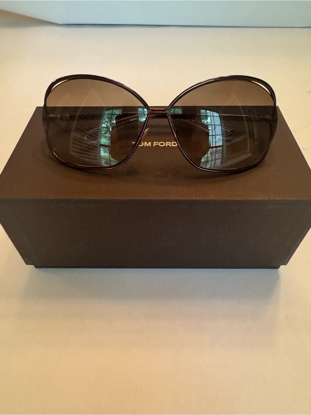 Tom Ford Women's Brown Gradient Oversized Sunglasses